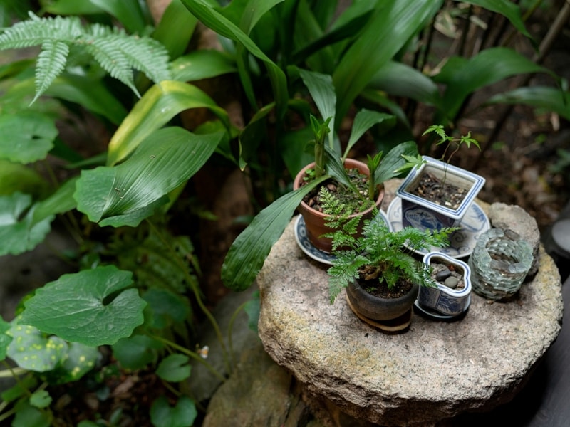 京都の町家ゲストハウス和楽庵